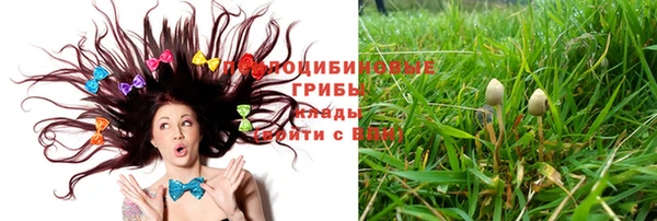 твердый Калач