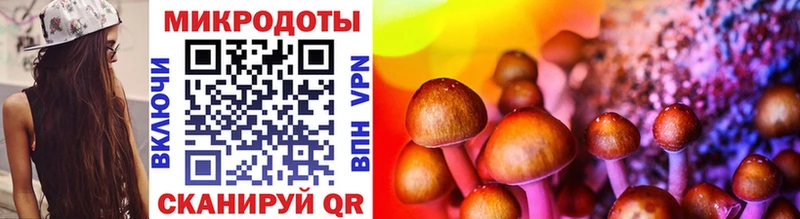 гидра tor  Касимов  Галлюциногенные грибы Cubensis 