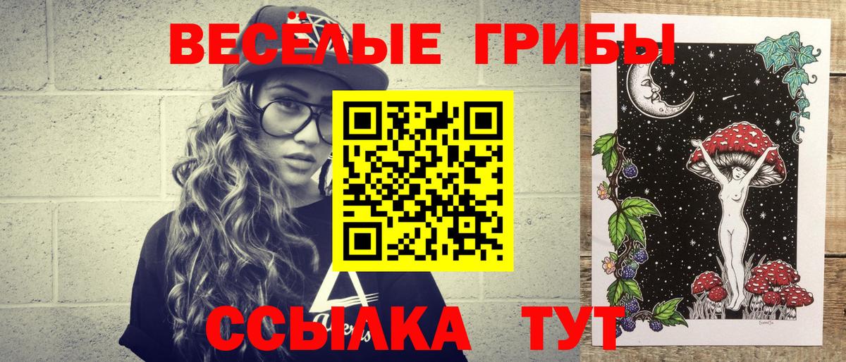 Галлюциногенные грибы MAGIC MUSHROOMS  Псилоцибиновые грибы Magic Shrooms  Касимов  сколько стоит  Вход с VPN 