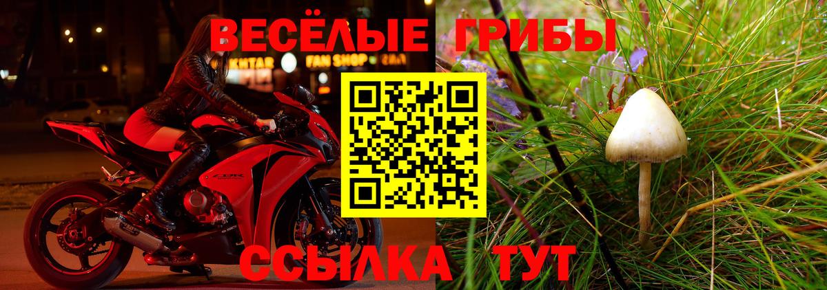 Псилоцибиновые грибы мицелий Касимов