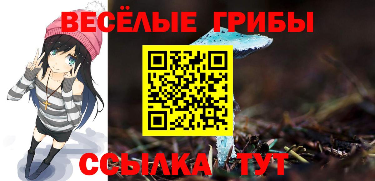 Галлюциногенные грибы GOLDEN TEACHER Касимов