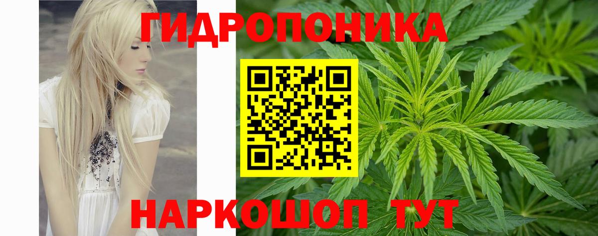 Конопля MAZAR  Касимов  Каннабис SATIVA & INDICA  Канабис конопля  Каннабис сатива 